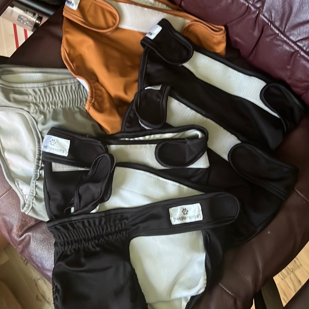 Six pack lot of parents dog diapers, size L?